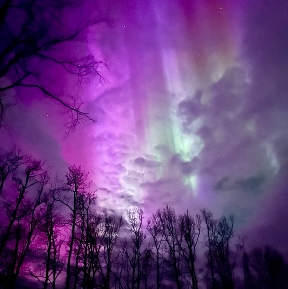 Meet your Posher, Cyndi - Picture 13 of 16